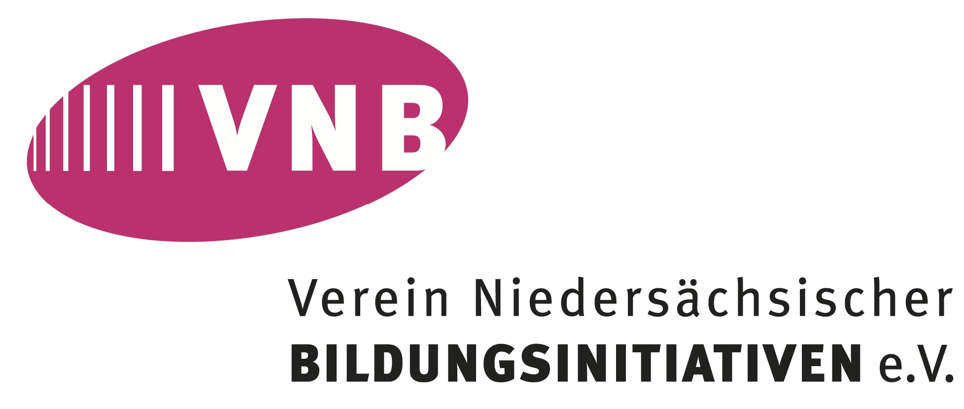 Logo VNB e.V.